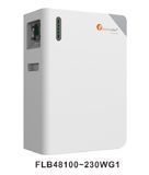 Акумуляторний блок Felicity Solar FLB48100-EU 5 кВт&middot;год FLB48100 фото